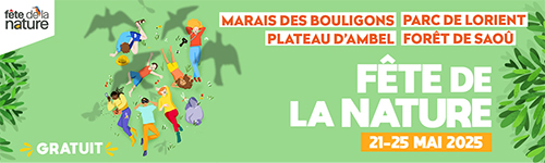 banniere_com_mail.jpg