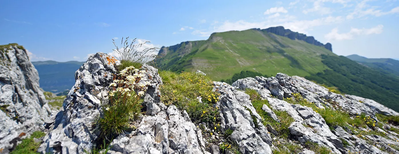 Les Espaces Naturels Sensibles