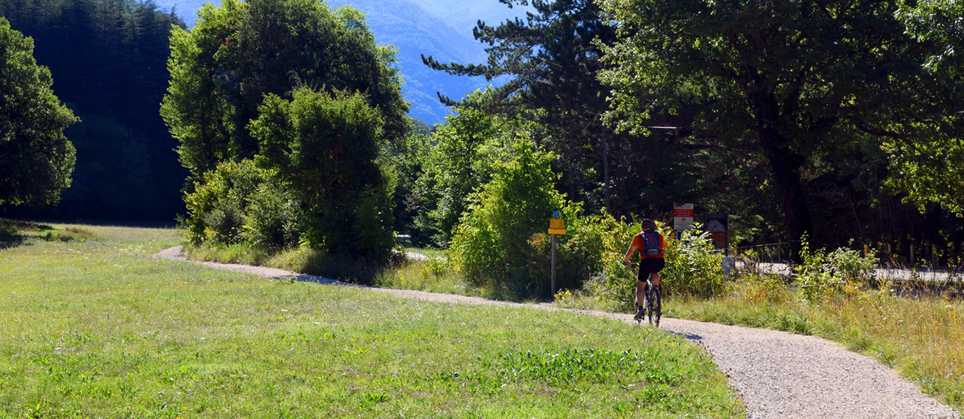 Déplacements doux en forêt de Saoû