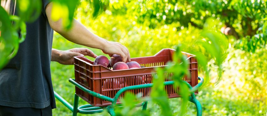 Alimentation : bien dans son assiette