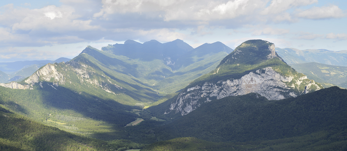 Forêt de Saoû (vallée de la Drôme)