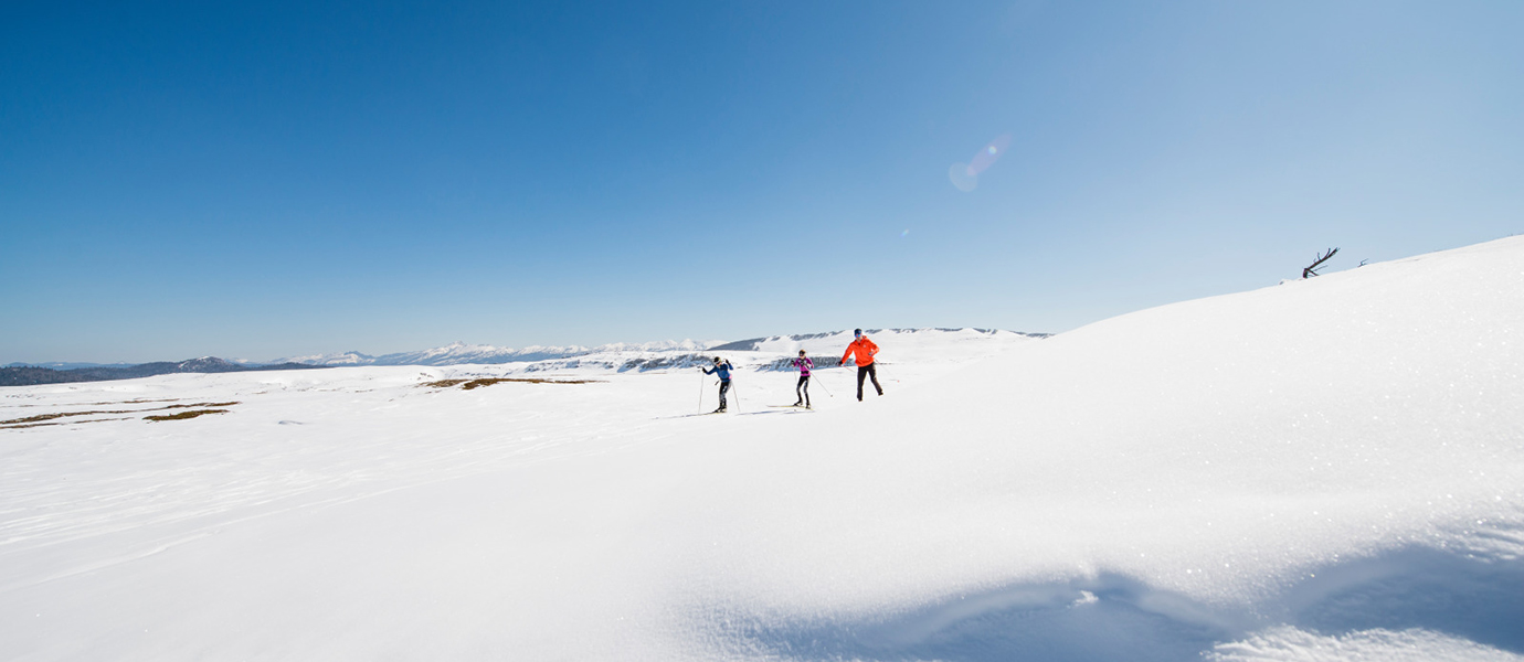 Tous à la neige !