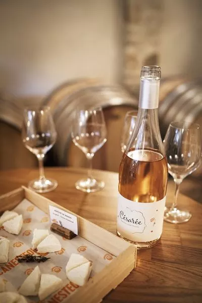 Visite des chais et atelier vins & fromage