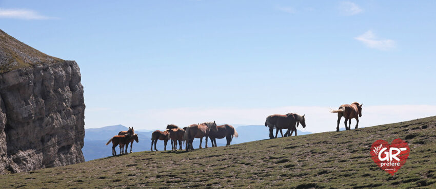 Sur les chemins de la Drôme