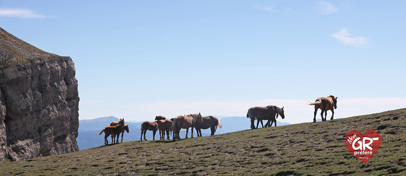 Sur les chemins de la Drôme