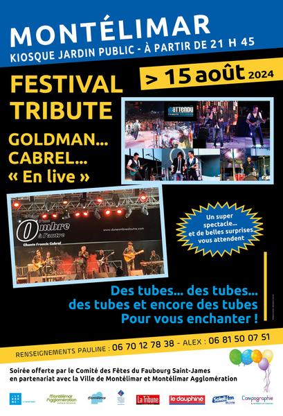 Festival Tribute Goldman/Cabrel en live