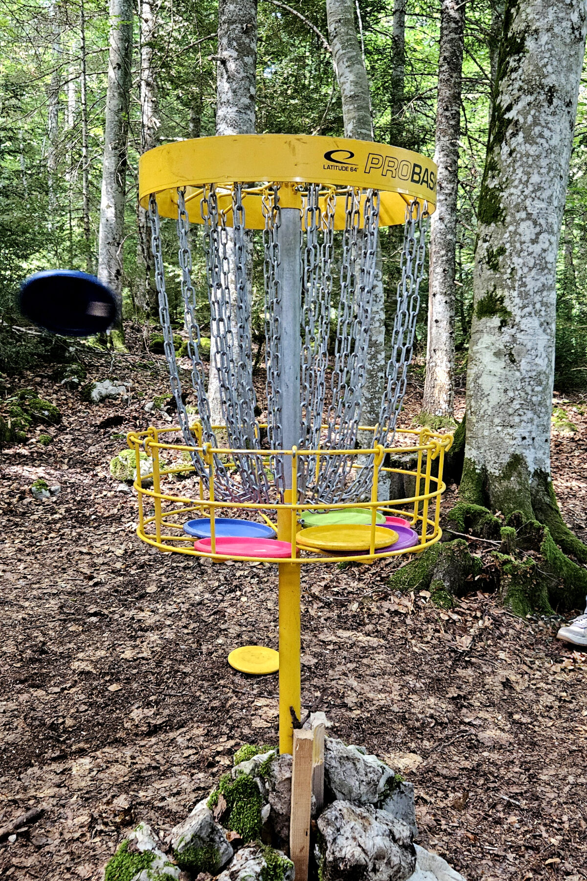 discgolf