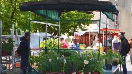 Marché hebdomadaire