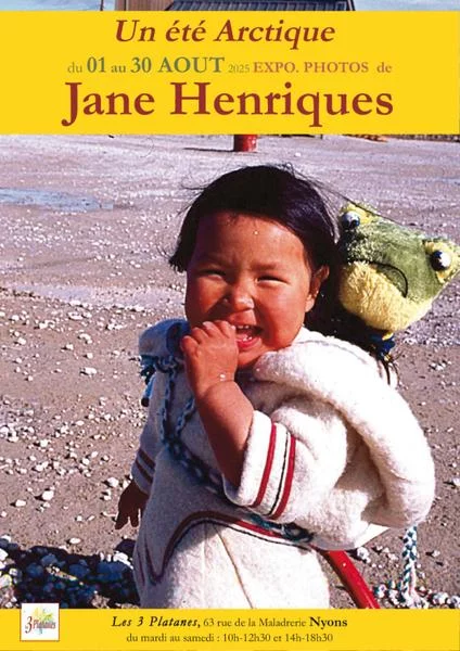 Un été arctique, de Jane Henriques