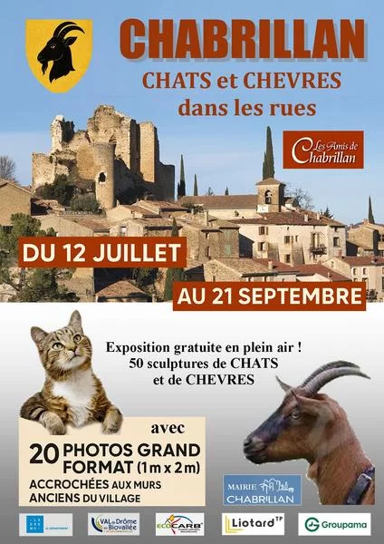 Chats et Chèvres dans la rue 2025