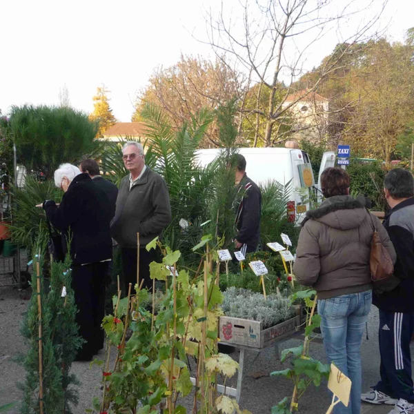 Foire aux arbres 2025