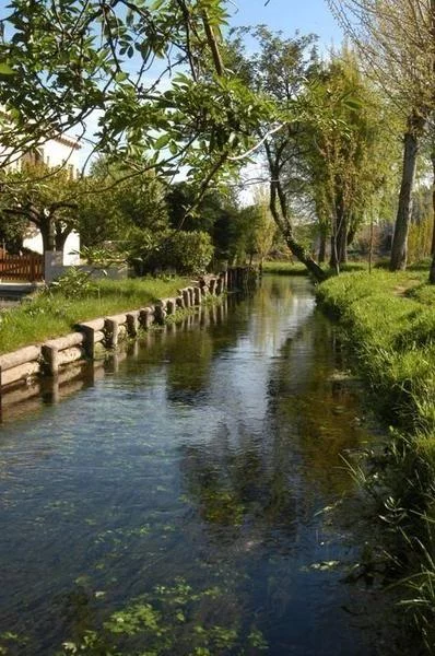 Visite commentée des canaux de Valence