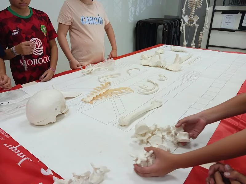 Atelier » fouille de sarcophages «