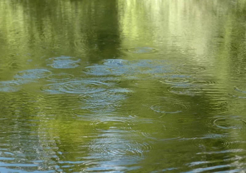 Découverte de l’eau sous tous ses aspects – Journées Européennes du Patrimoine