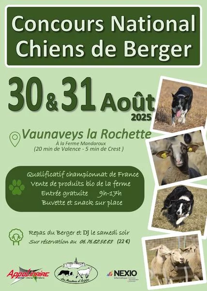Concours national de chiens de Berger