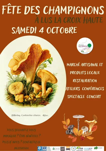 Fête des champignons et de l’automne