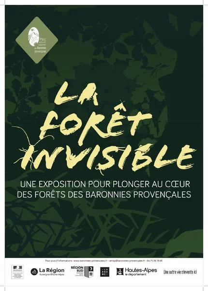 La forêt invisible