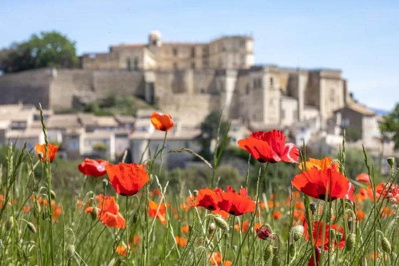 Visite guidée de Grignan – Spéciale Groupe