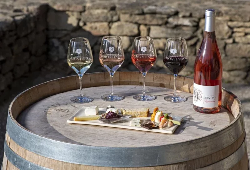 Visite de la Cave et Dégustation des vins en accord avec des fromages