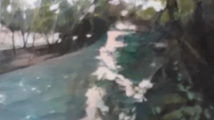 Exposition de Peinture – Susan Rayfeld