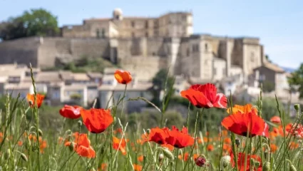 Visite guidée de Grignan – Spéciale Groupe