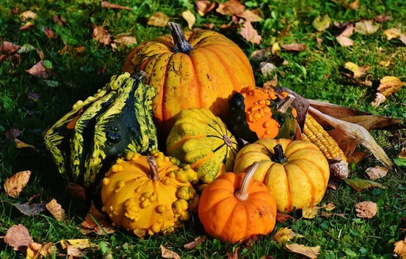 Marché d’automne