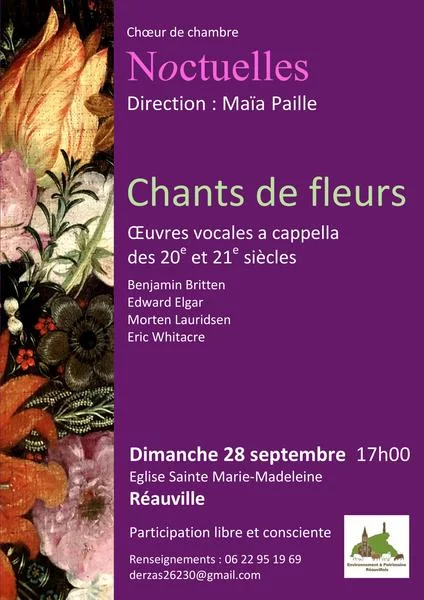 Concert Noctuelles