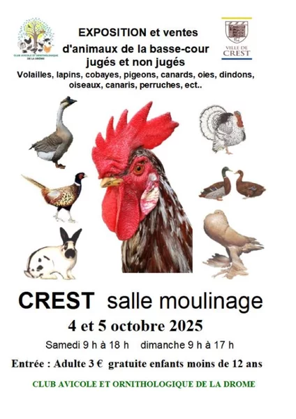 exposition et vente d’animaux de la basse cour