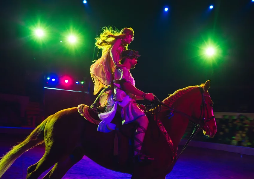 Le merle perché fait son cirque