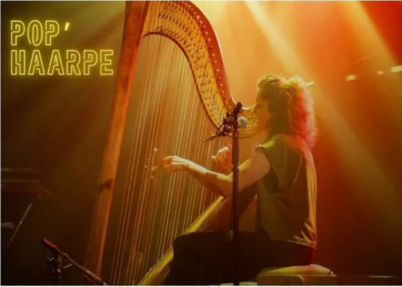 Pop’hAArpe