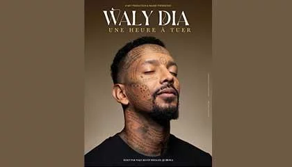 COMPLET / Humour : Waly Dia – Saison Romans Scènes