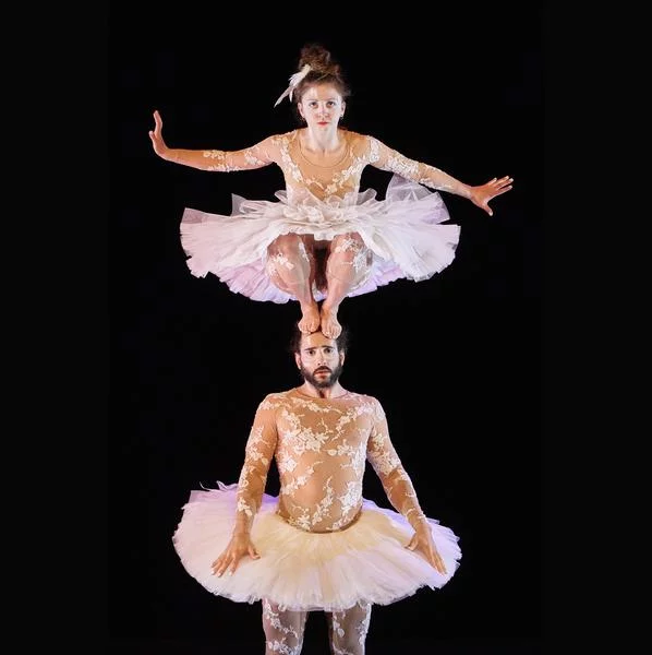 Spectacle – Le Lac des Cygnes
