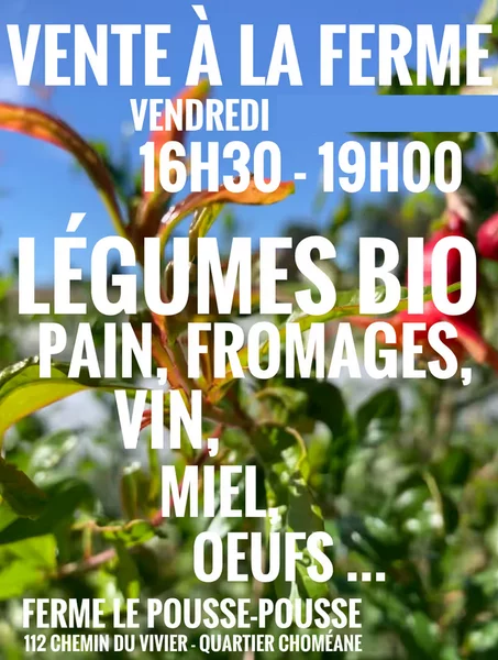 Marché à la ferme Pousse-Pousse en musique