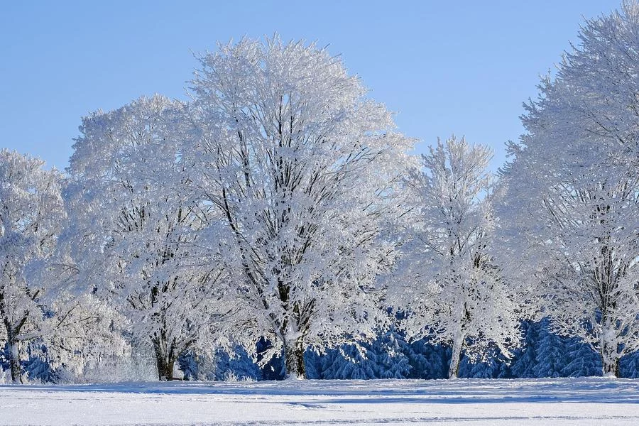 Exposition « Hivers Blancs » – Patrimoine Herbasse