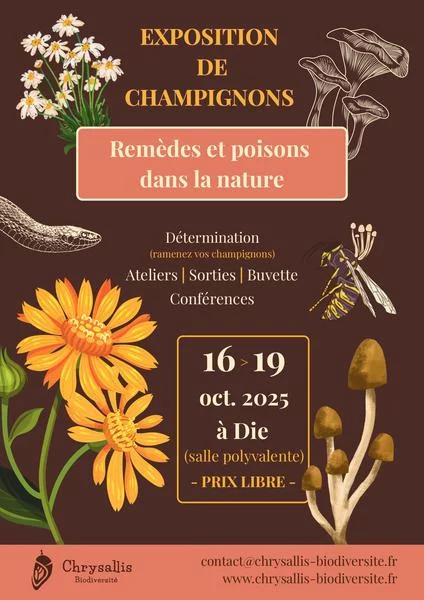 Salon d’automne – Exposition de champignons