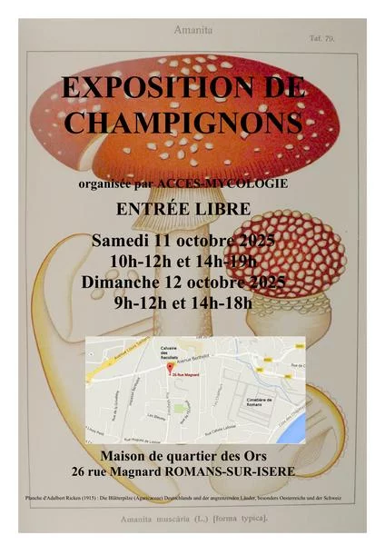 Exposition de champignons