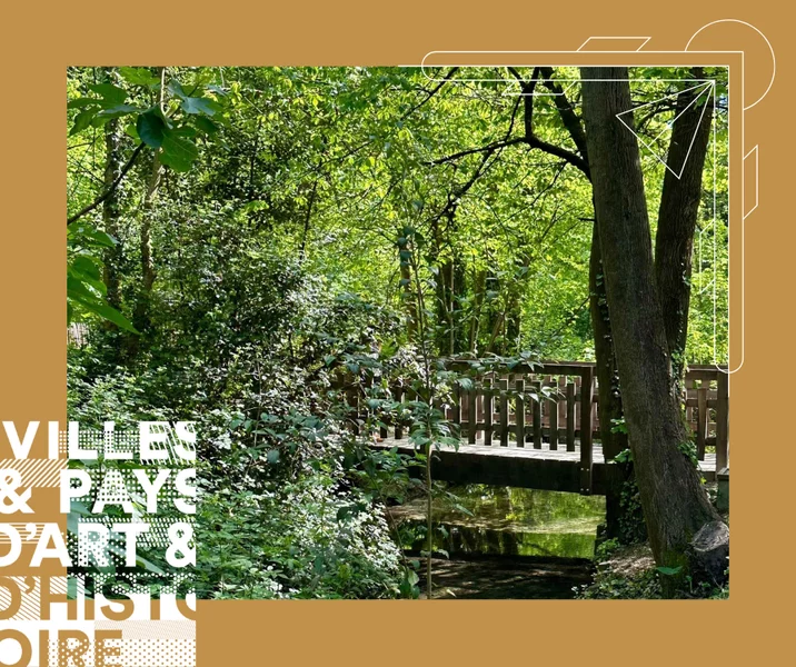 Visite guidée : En quoi les arbres nous sont-ils si différents ?