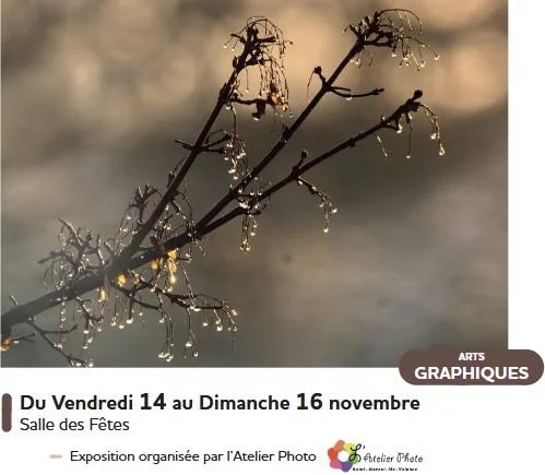Les Expos’ de l’atelier photo