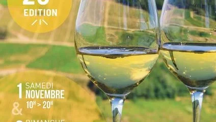 20ème Salon des vins de France et produits régionaux