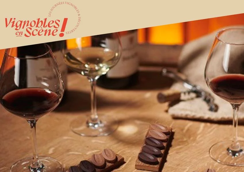 Atelier spécial chocolats & vins – cité du chocolat