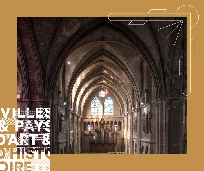 Visite guidée de la Collégiale Saint Barnard