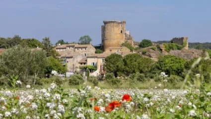Visite guidée de La Baume de Transit pour les groupes