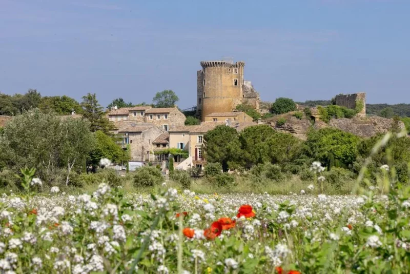 Visite guidée de La Baume de Transit pour les groupes