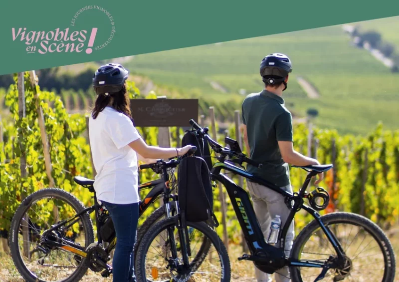 Balade en vélo à assistance éléctrique – Maison M. CHAPOUTIER