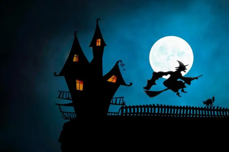 Wynot fête halloween