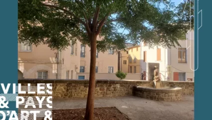 Visite guidée : Romans de place en place