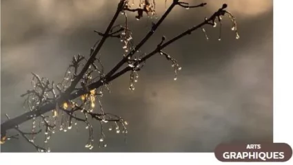 Les Expos’ de l’atelier photo