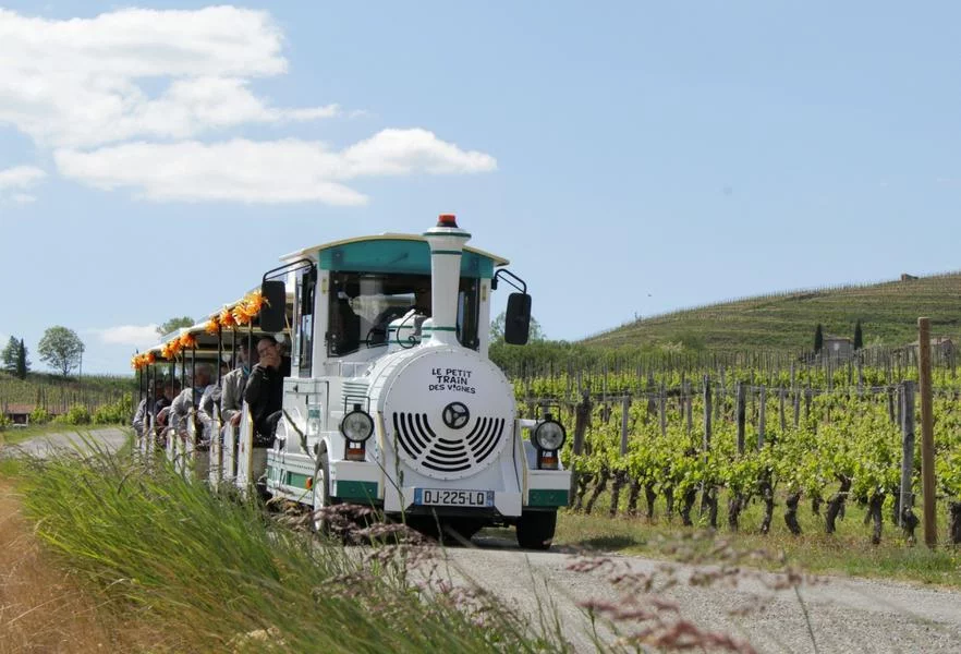 Petit train des vignes – Portes ouvertes de la Cave de Tain