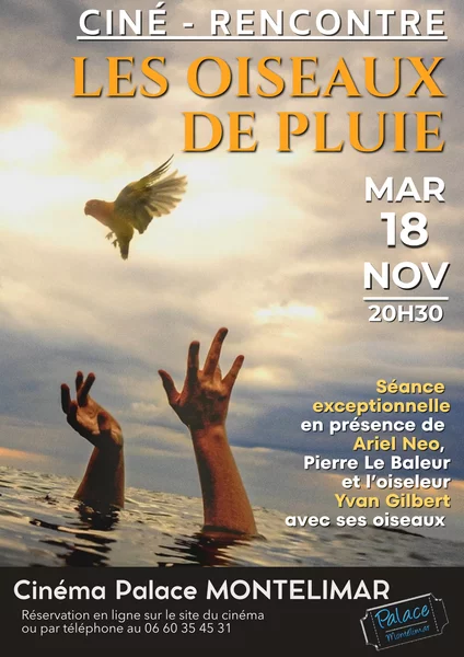 Ciné-rencontre Les Oiseaux de pluie