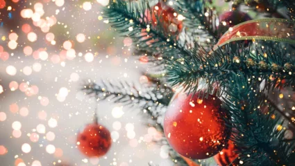 Marché de Noël – Mercurol-Veaunes